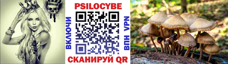 Галлюциногенные грибы Magic Shrooms  Балей 