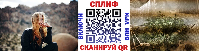 Бошки Шишки планчик  продажа наркотиков  omg ССЫЛКА  Балей 